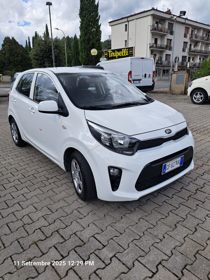 Kia picanto - immagine 2