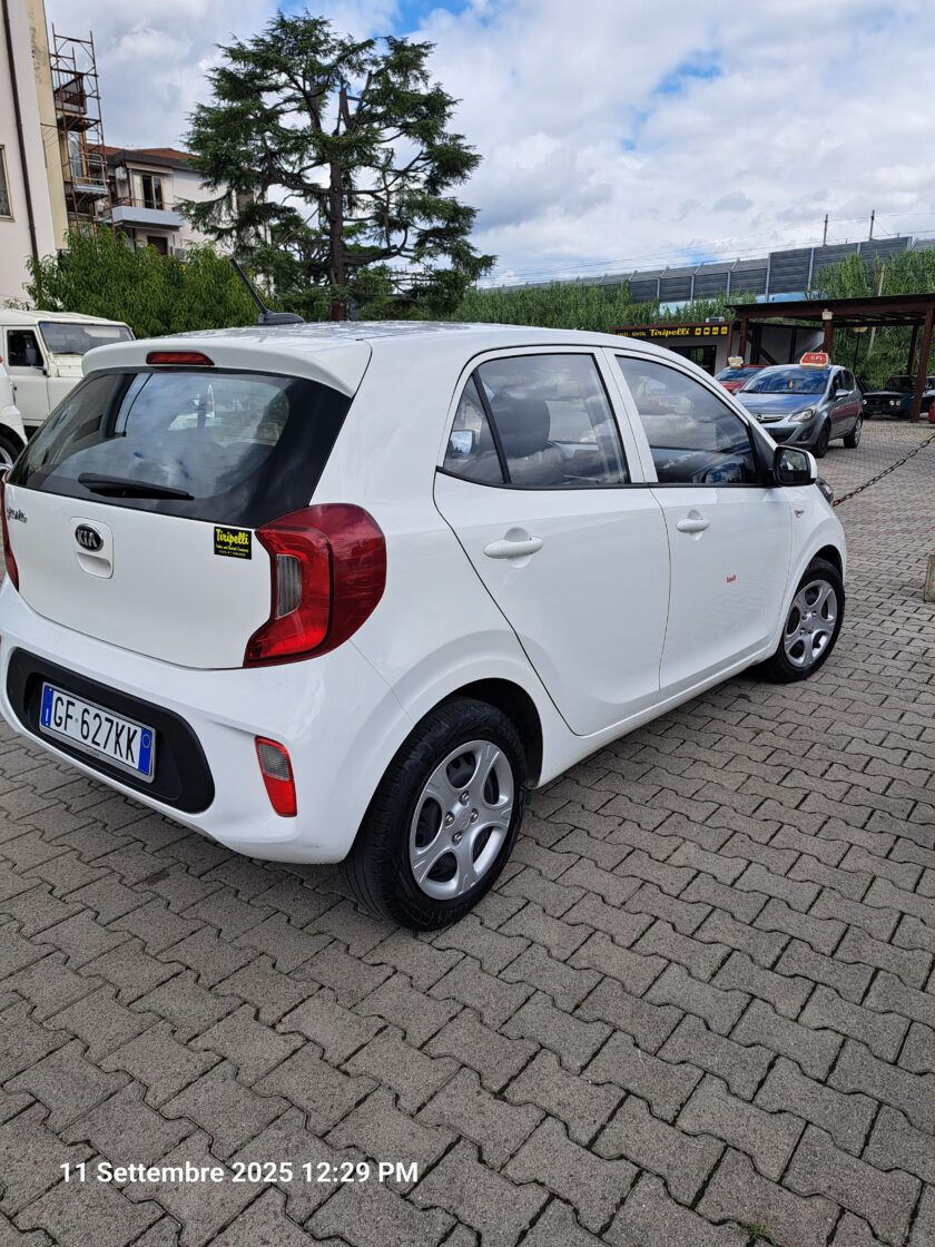 Kia picanto - immagine 3