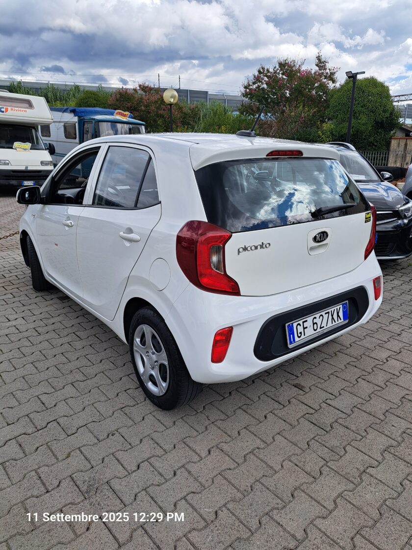 Kia picanto - immagine 5