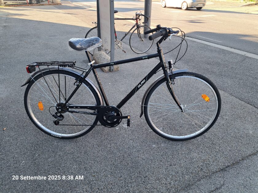 Olmo bivio 7v