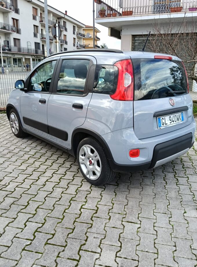 Fiat panda hybrid