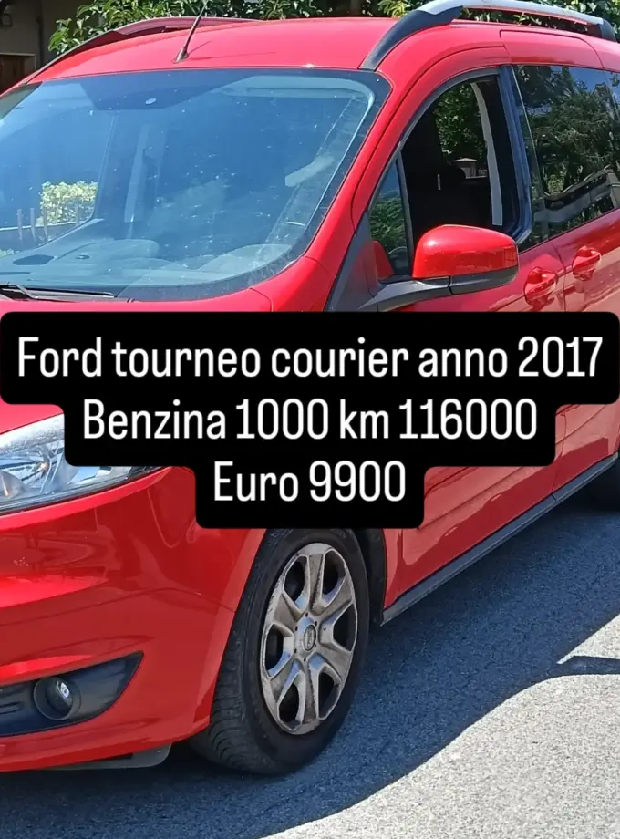 Ford tourneo courier